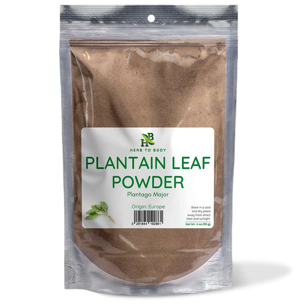 Herb To Body Plantain Leaf Powder European Broad