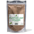 Herb To Body Plantain Leaf Powder European Broad