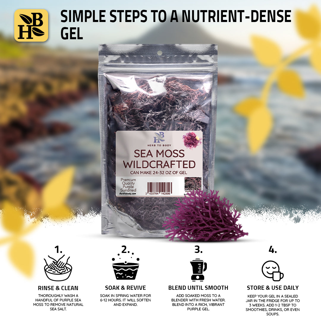 Herb To Body Wildcrafted Purple Irish Sea Moss