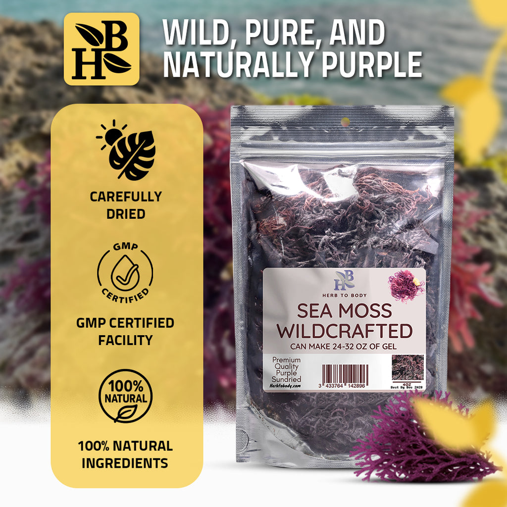 Herb To Body Wildcrafted Purple Irish Sea Moss