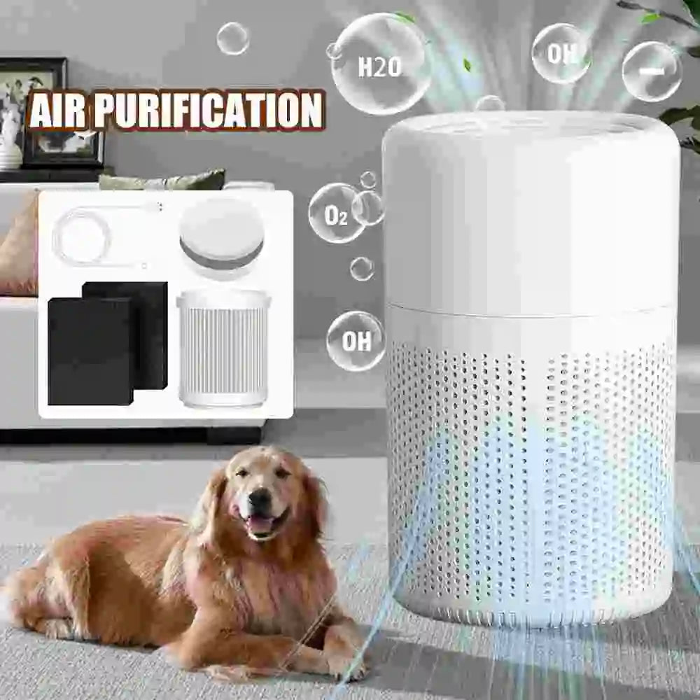 Air Purifier for Home Office Bedroom, Quiet Air Cleaner for Pets Formaldehyde Allergies, HEPA Filter Negative Ion USB Powered