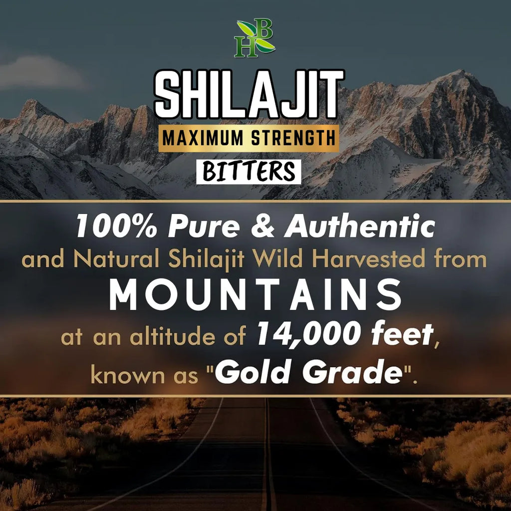Herb to Body Shilajit Bitter Liquid Supplement 16oz