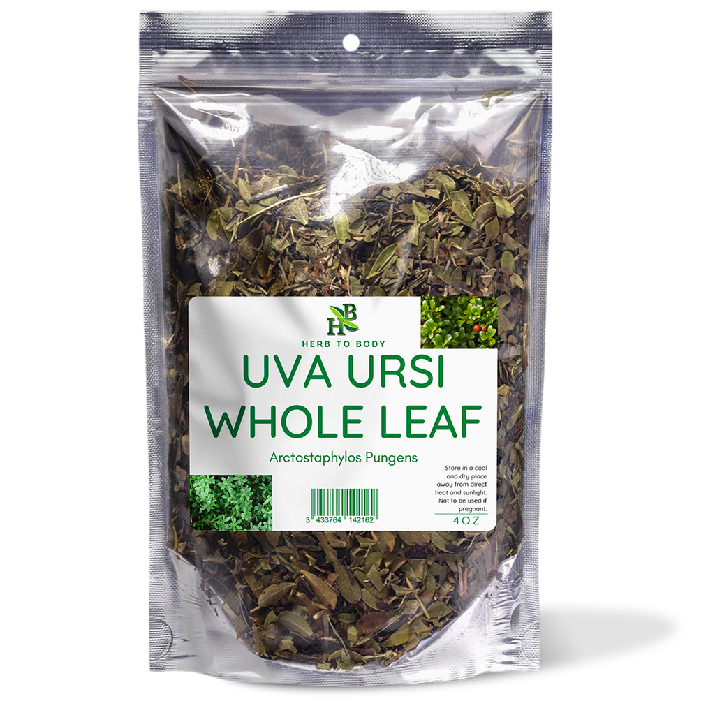 Herb To Body Uva Ursi Whole Leaf 4oz
