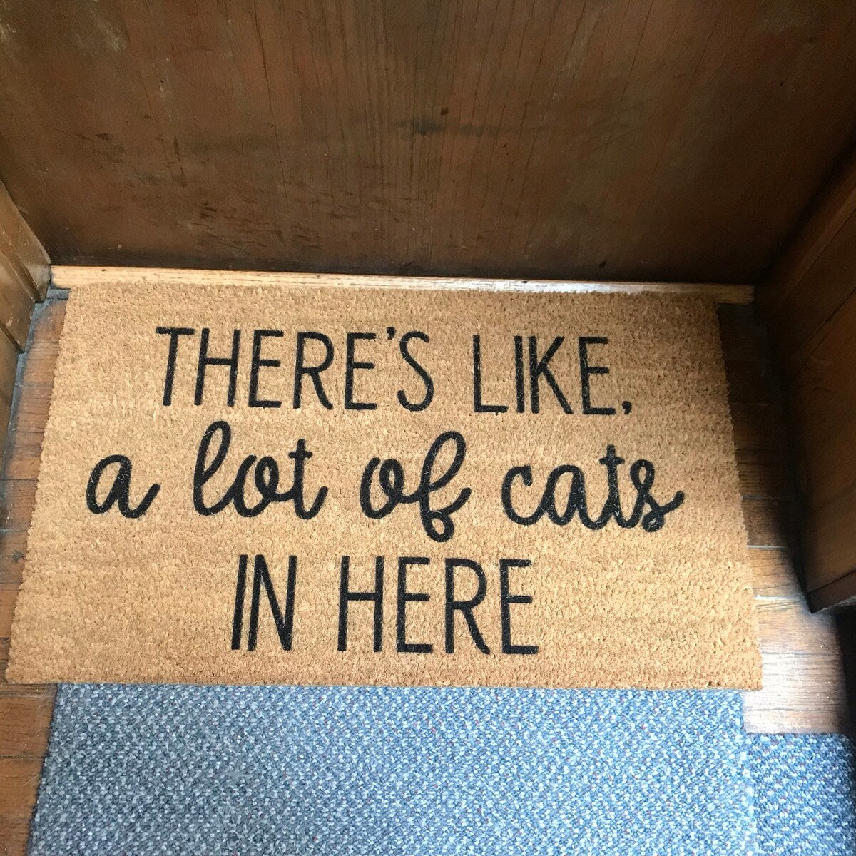 HamlinRowShop There's Like a Lot of Cats in Here Funny Coir Doormat