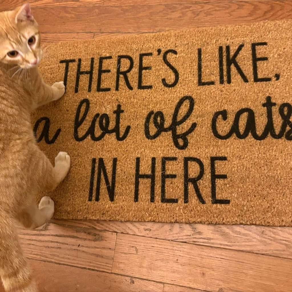 HamlinRowShop There's Like a Lot of Cats in Here Funny Coir Doormat