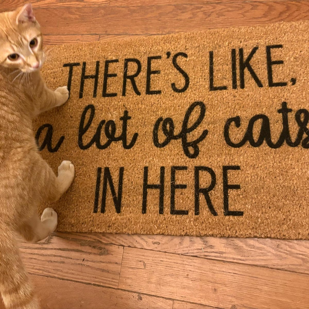 HamlinRowShop There's Like a Lot of Cats in Here Funny Coir Doormat