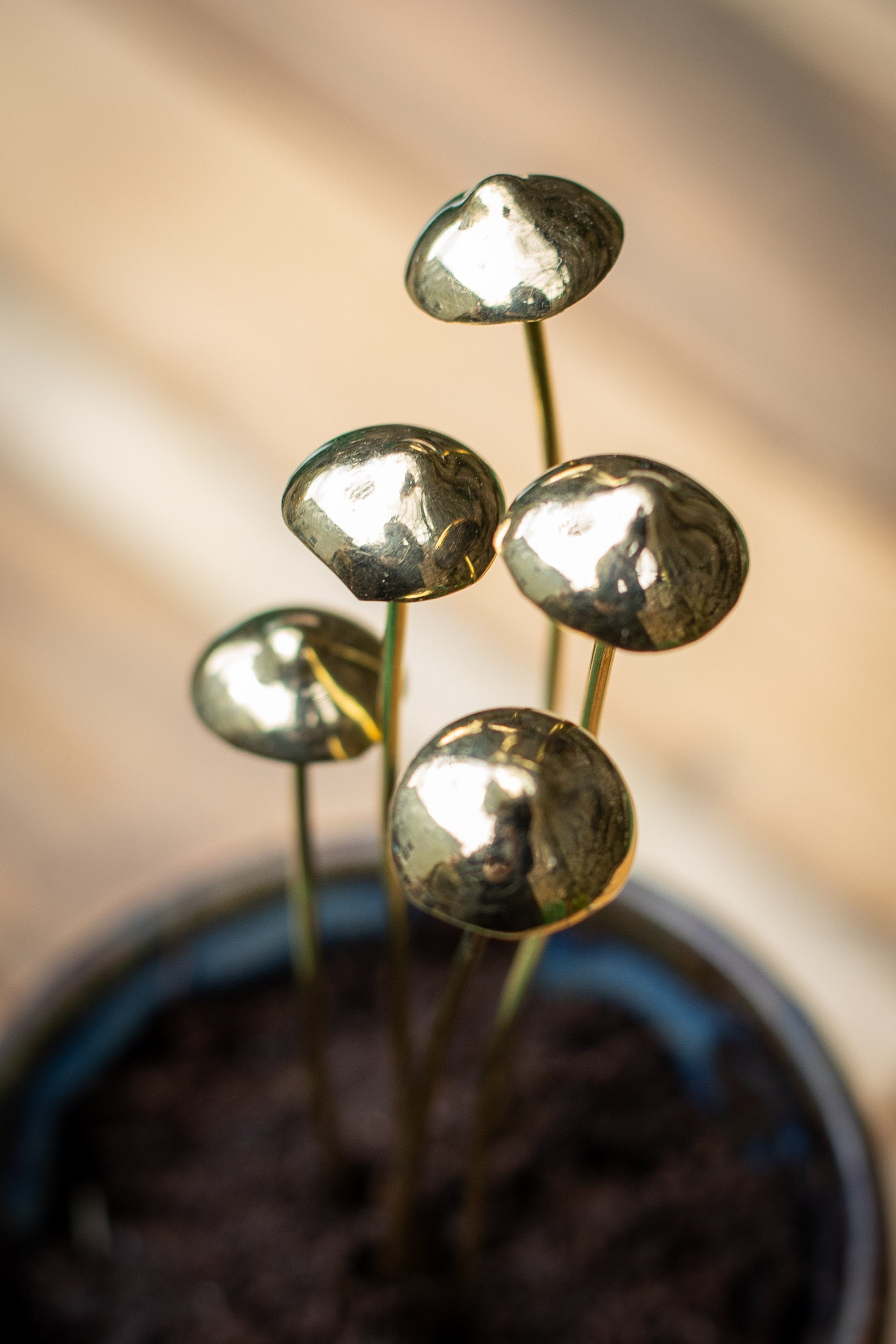 GazRye Handcrafted Brass Mushroom Garden Decoration Single Piece