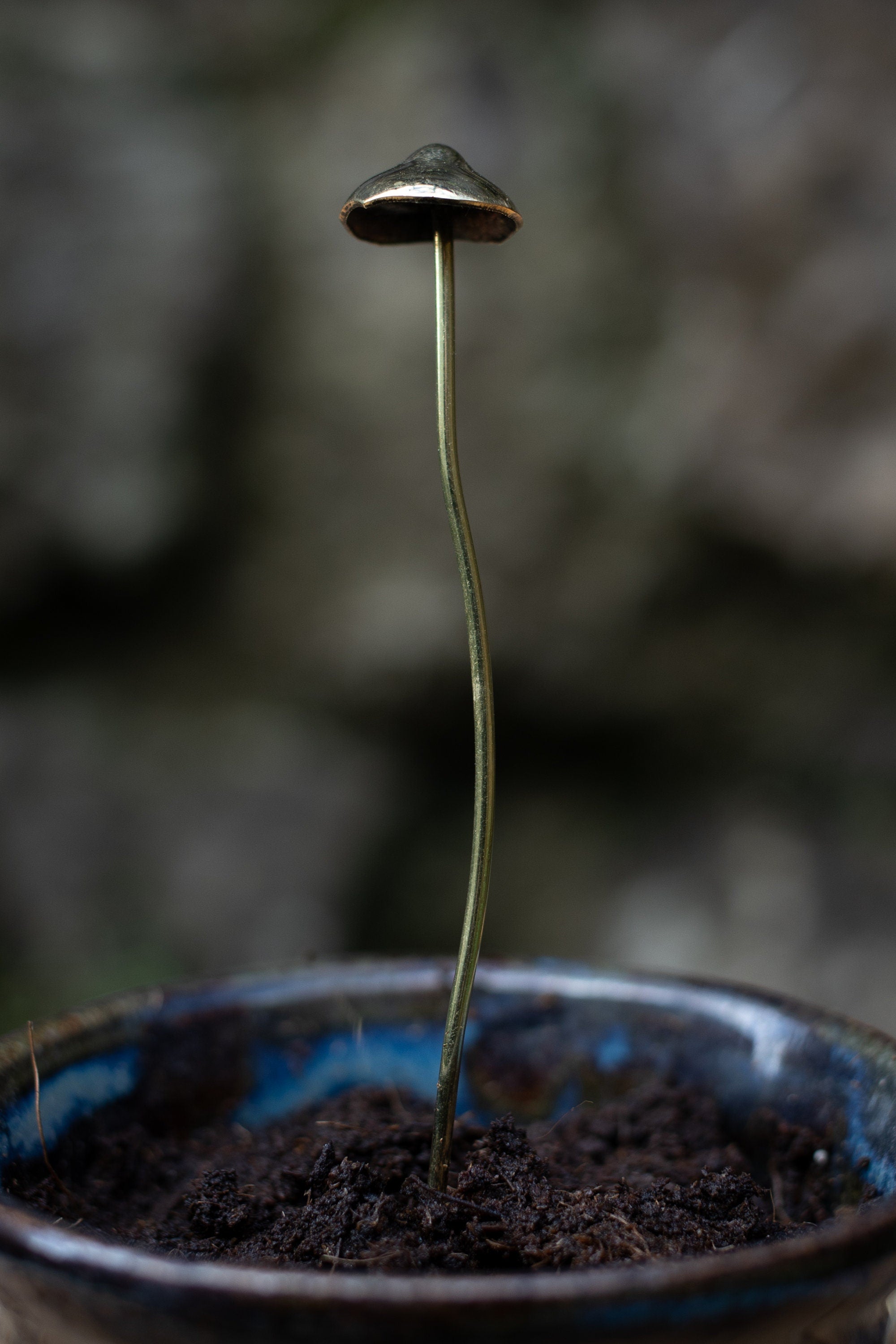 GazRye Handcrafted Brass Mushroom Garden Decoration Single Piece