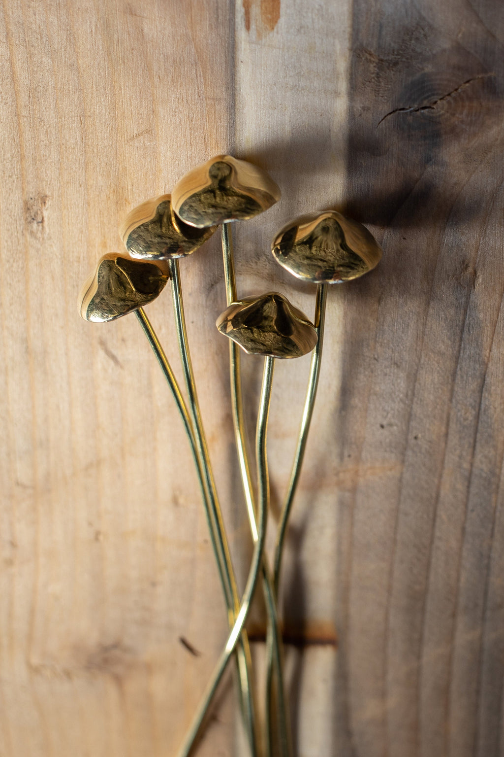 GazRye Handcrafted Brass Mushroom Garden Decoration Single Piece