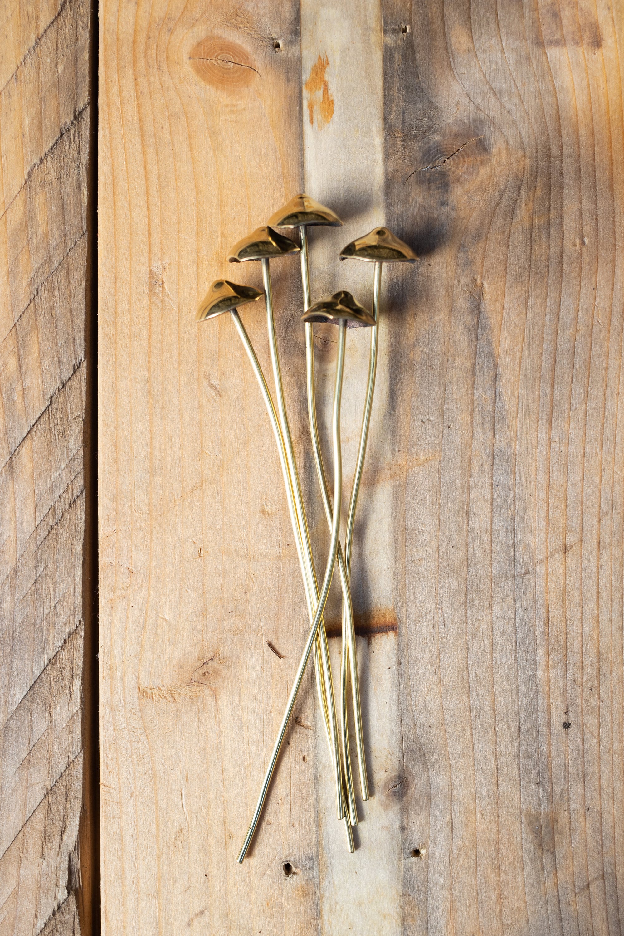 GazRye Handcrafted Brass Mushroom Garden Decoration Single Piece