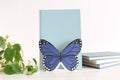 DelightfullyDutch Handmade Butterfly Bookend Customizable 3D Printed