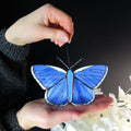 SunStainedGlassUA Blue Butterfly Stained Glass Suncatcher Window Hanging