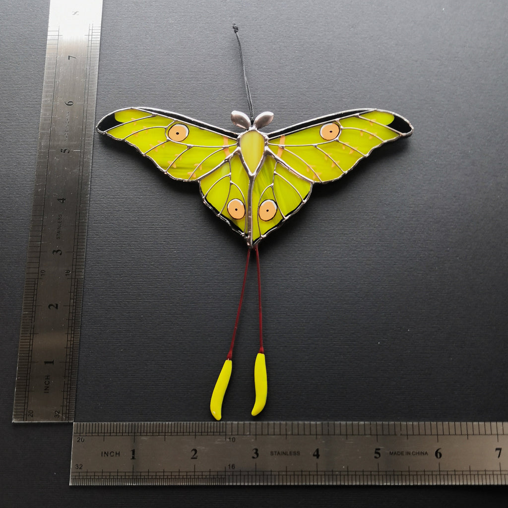 SunStainedGlassUA Comet Moth Stained Glass Window Suncatcher
