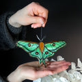 SunStainedGlassUA Spanish Moon Moth Stained Glass Suncatcher 5.9in