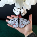 SunStainedGlassUA Apollo Butterfly Stained Glass Suncatcher Window Hanging