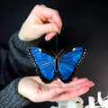 SunStainedGlassUA Peleides Blue Morpho Stained Glass Butterfly Suncatcher
