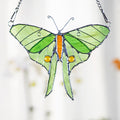 RainLine Handmade Stained Glass Luna Moth Butterfly Window Hanging