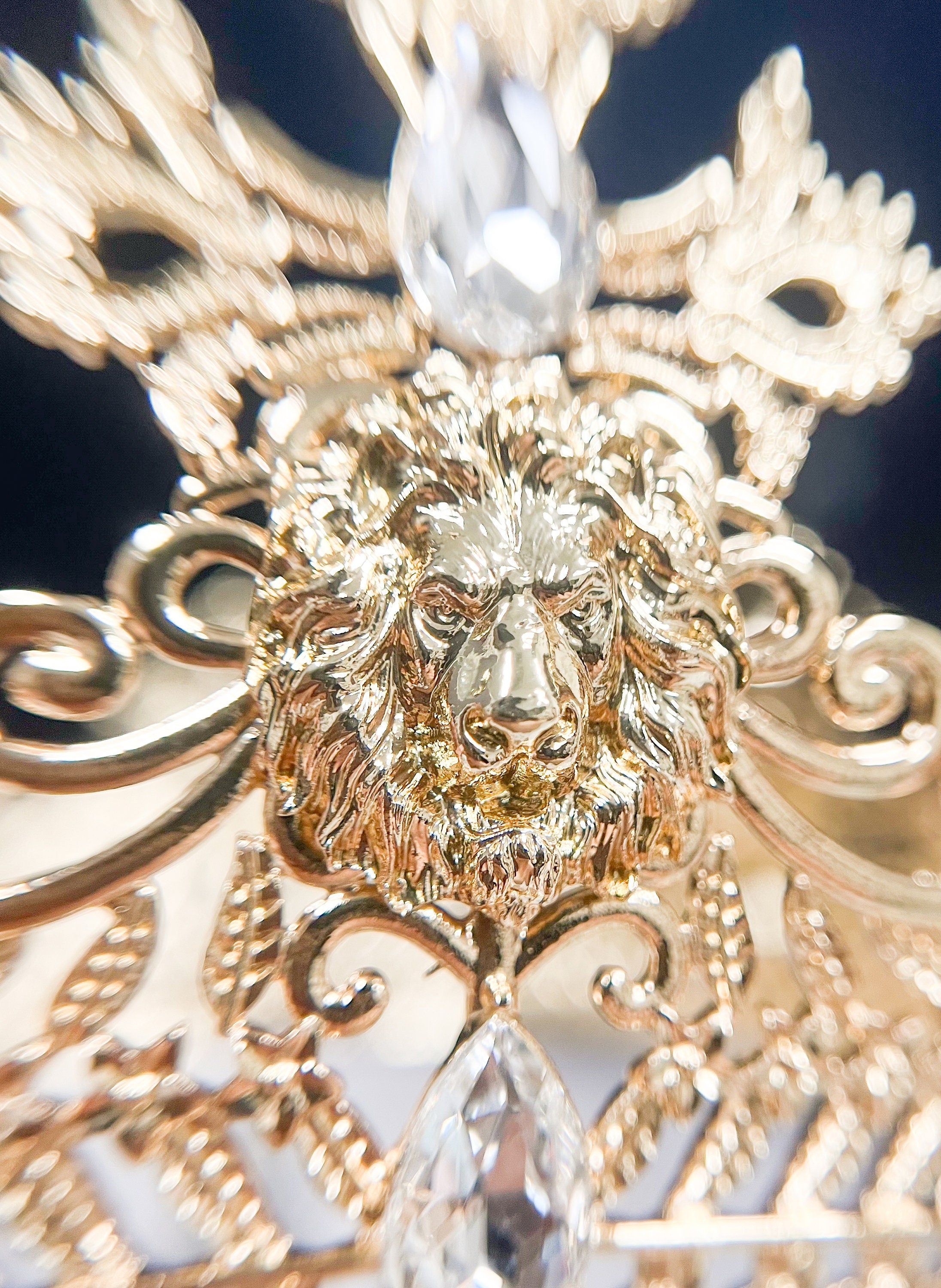 HappyJewelryWorld Gold Lion King Crown With Clear Rhinestone 24in