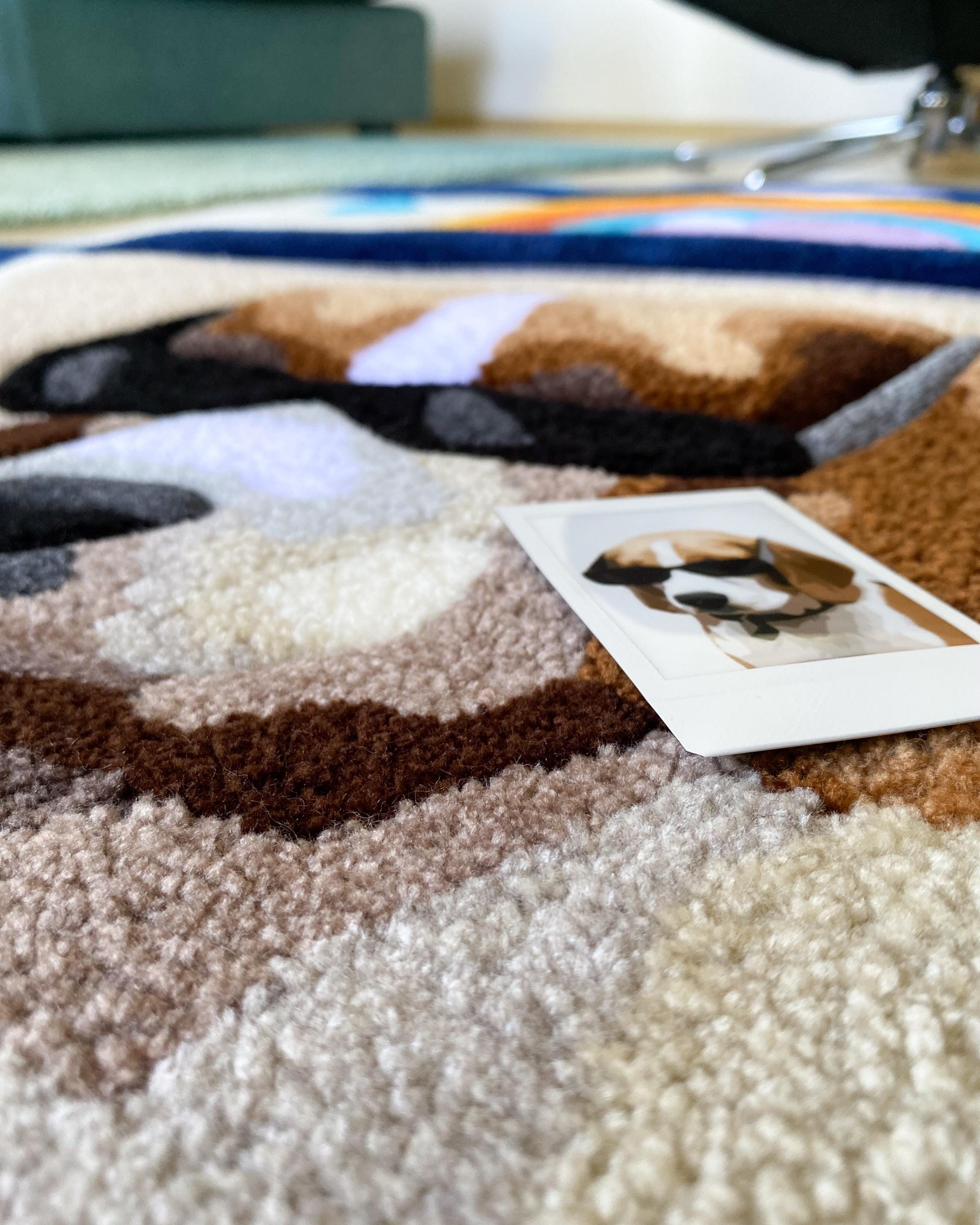 LargoModern Custom Snapshot Hand Tufted Rug 31x26in