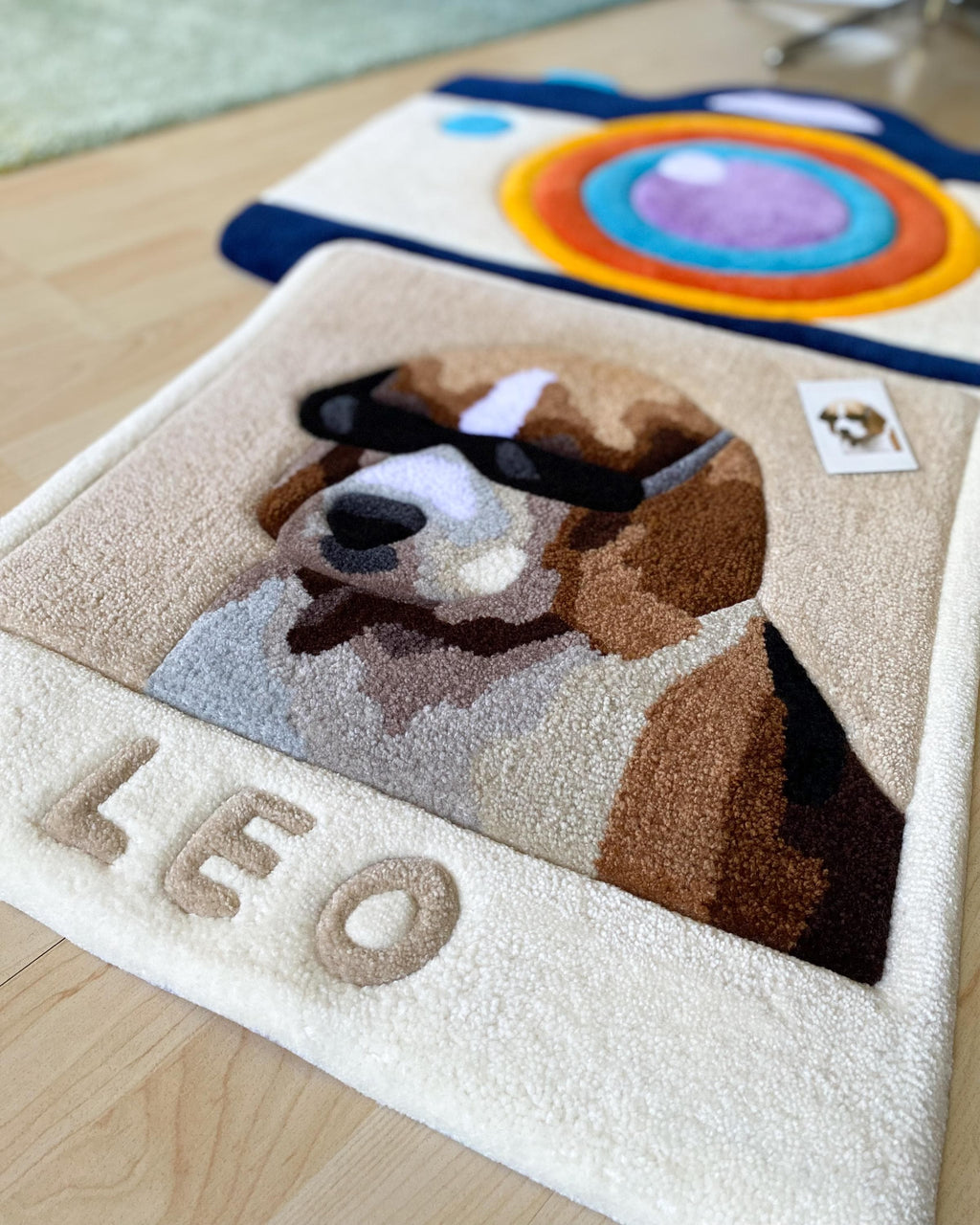 LargoModern Custom Snapshot Hand Tufted Rug 31x26in