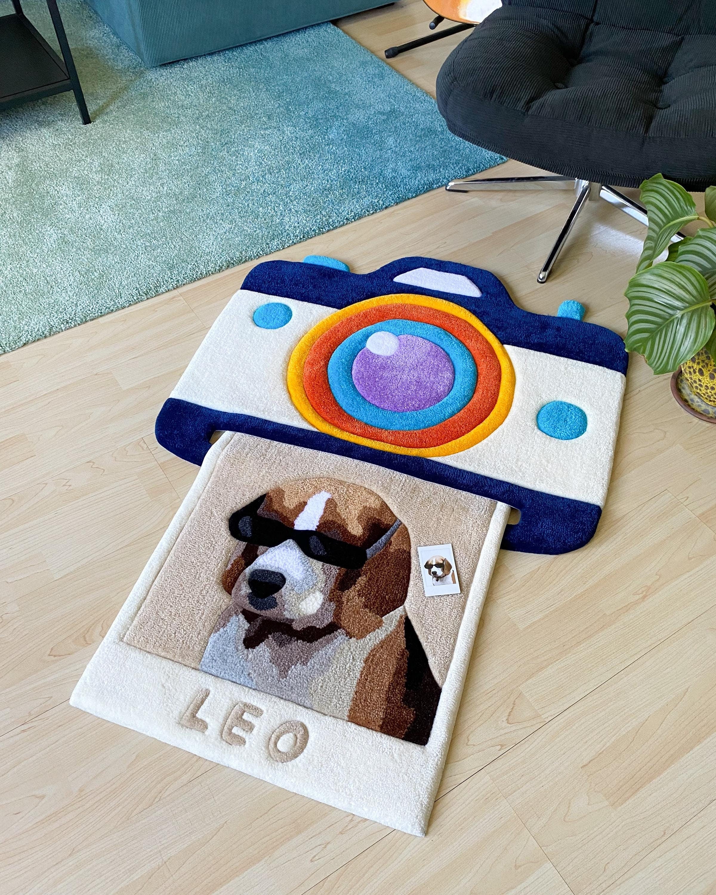 LargoModern Custom Snapshot Hand Tufted Rug 31x26in