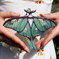 SunStainedGlassUA Luna Moth Stained Glass Butterfly Suncatcher 6in
