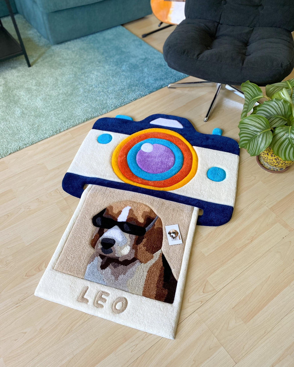 LargoModern Custom Snapshot Hand Tufted Rug 31x26in