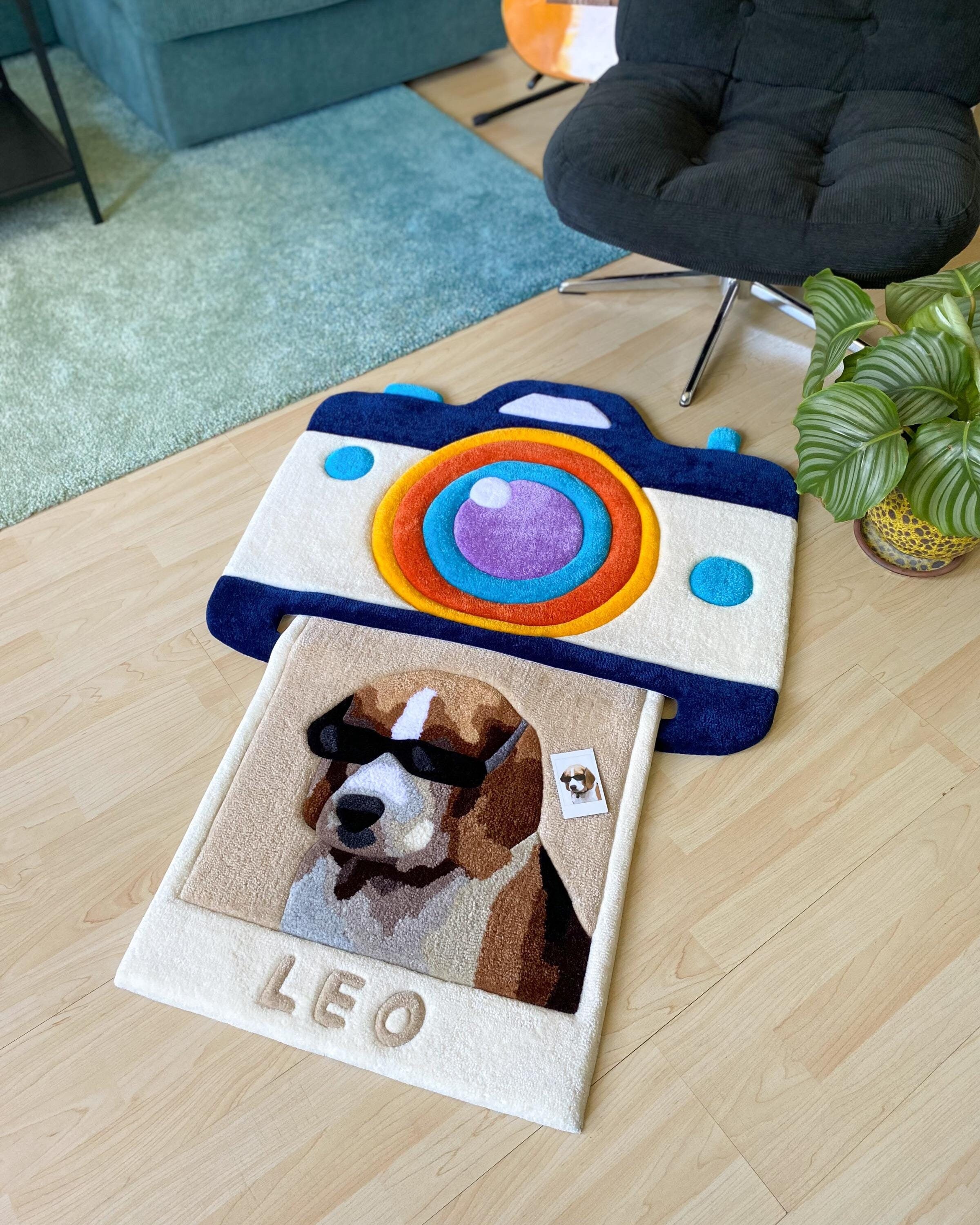 LargoModern Custom Snapshot Hand Tufted Rug 31x26in