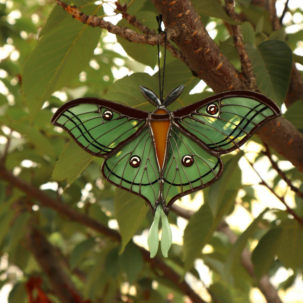 SunStainedGlassUA Spanish Luna Moth Stained Glass Suncatcher Window Hanging