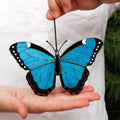 SunStainedGlassUA Peleides Blue Morpho Stained Glass Suncatcher