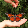 SunStainedGlassUA Monarch Butterfly Stained Glass Suncatcher Orange