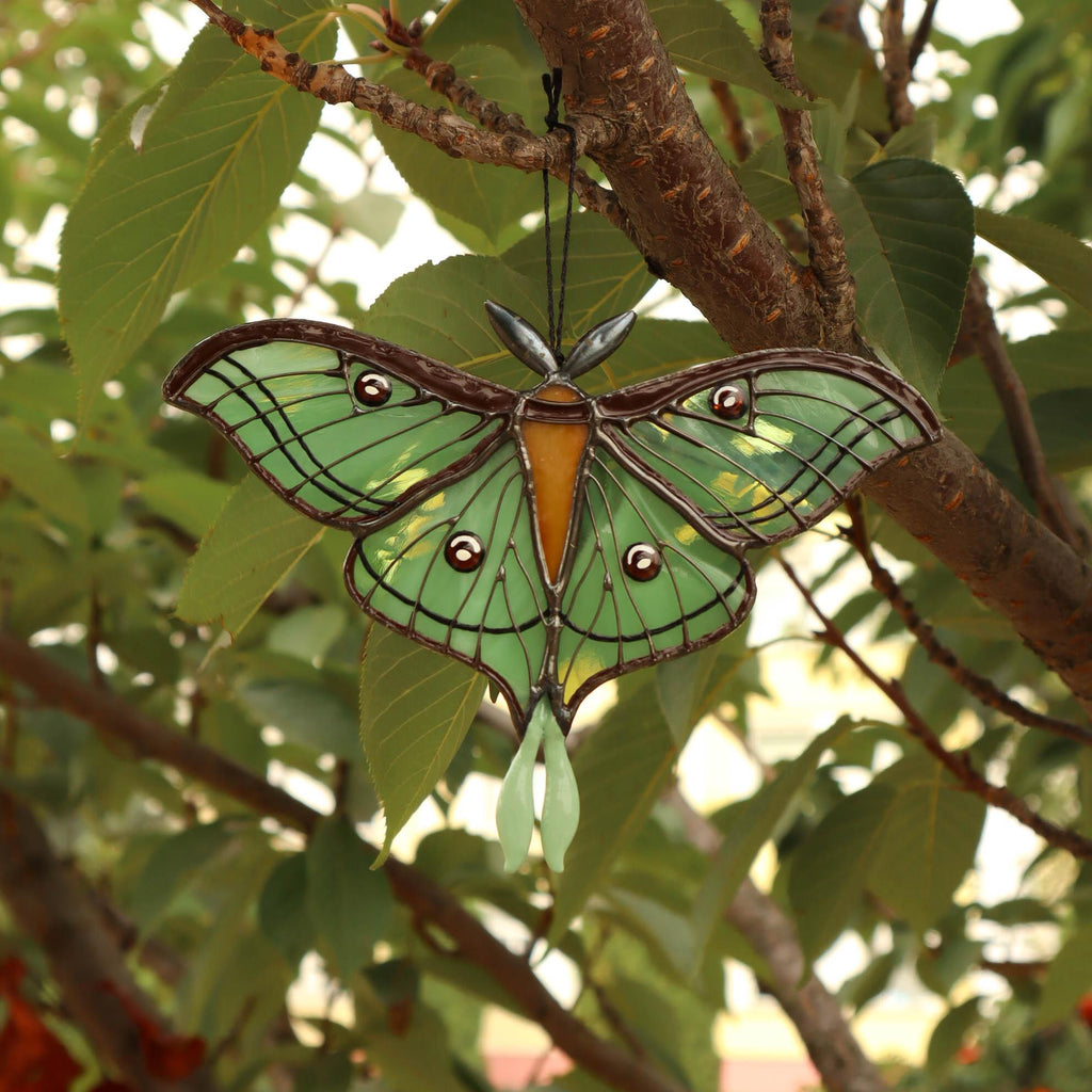 SunStainedGlassUA Spanish Luna Moth Butterfly Stained Glass Suncatcher Green