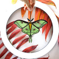 SunStainedGlassUA Spanish Luna Moth Butterfly Stained Glass Suncatcher Green