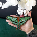 Spanish Moon Moth Stained Glass Butterfly Suncatcher Window Hanging 5.8in Handmade