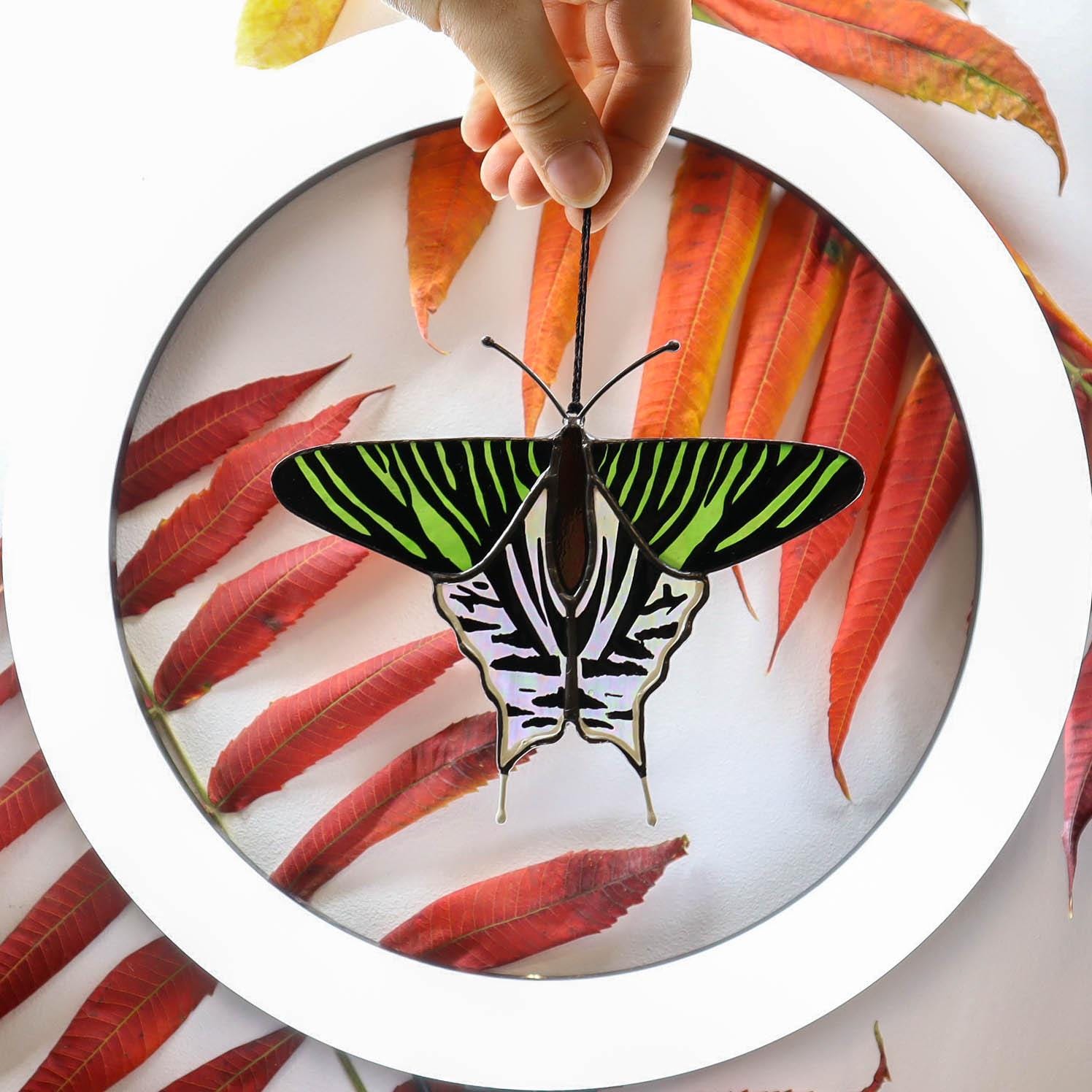 SunStainedGlassUA Urania Leilus Butterfly Suncatcher Stained Glass Window Hanging 5.3in