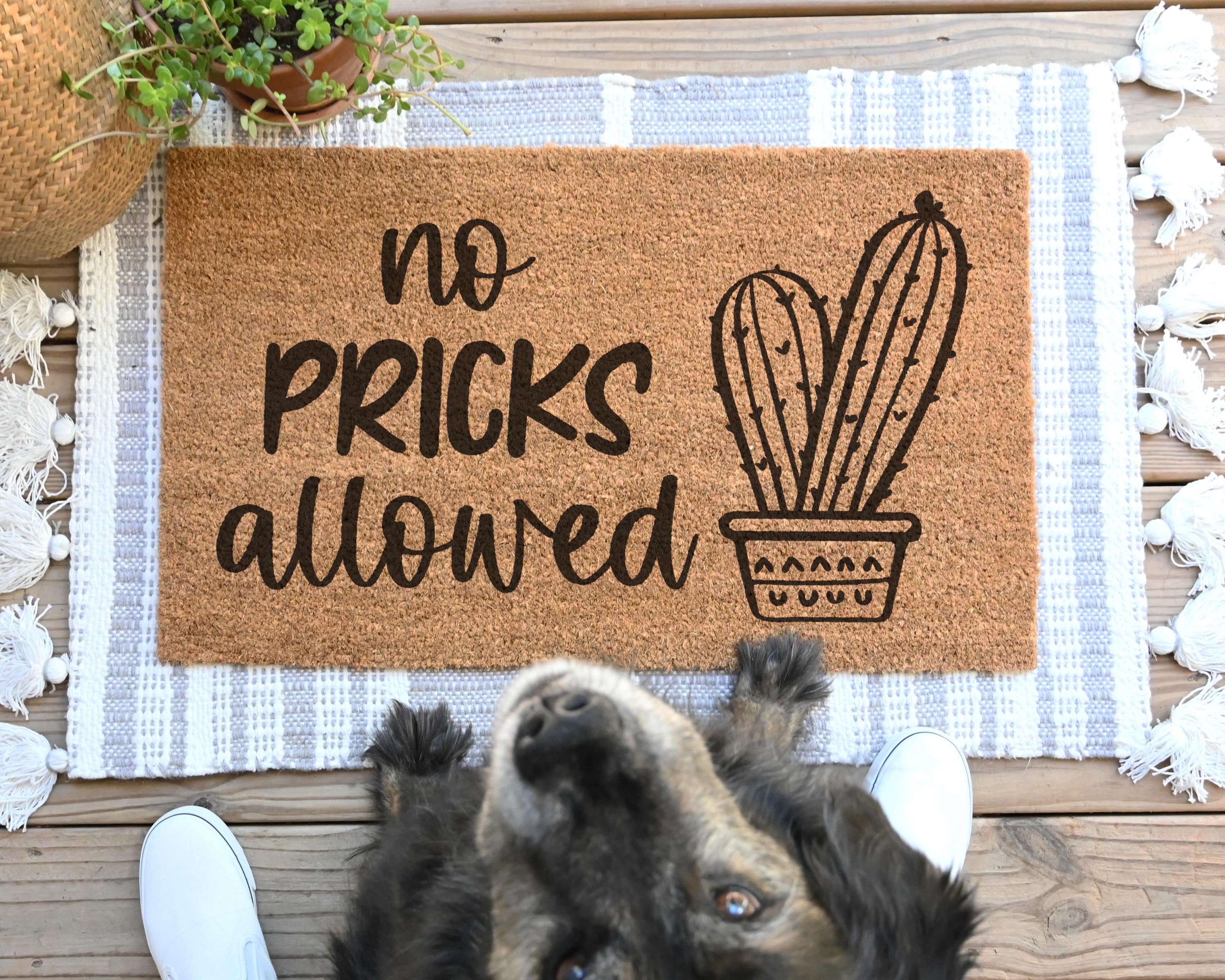 HamlinRowShop No Pricks Allowed Cactus Coir Doormat