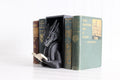 DelightfullyDutch Dragon Book Nook 3D Printed Bookshelf Decor Thermoplastic