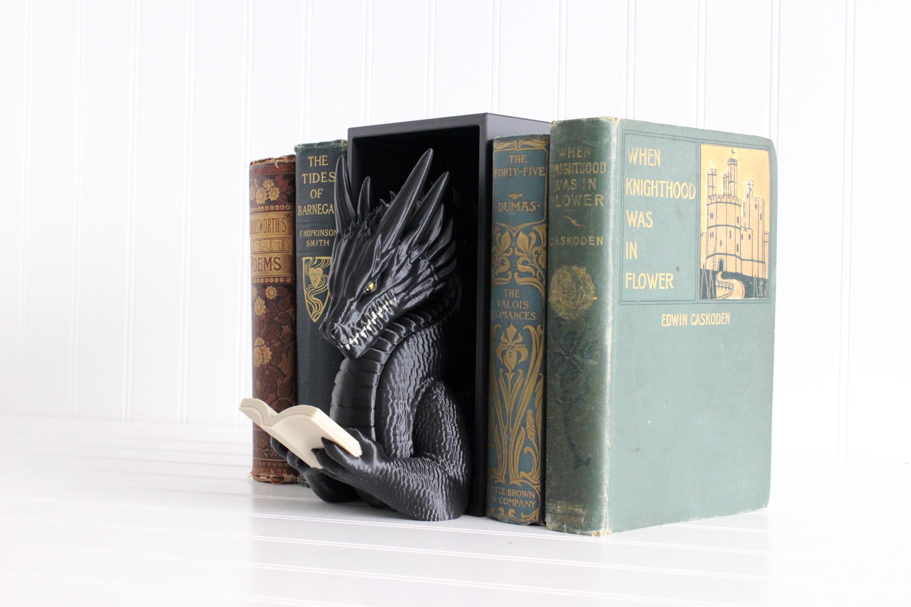 DelightfullyDutch Dragon Book Nook 3D Printed Bookshelf Decor Thermoplastic