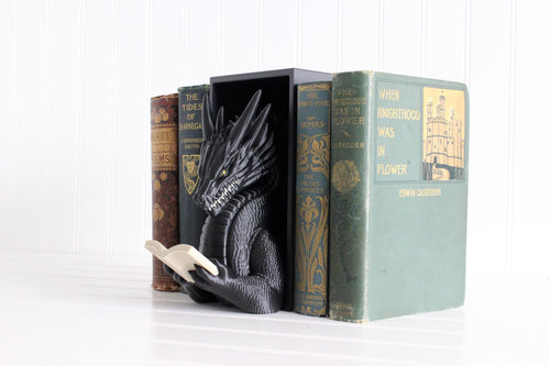 DelightfullyDutch Dragon Book Nook 3D Printed Bookshelf Decor Thermoplastic