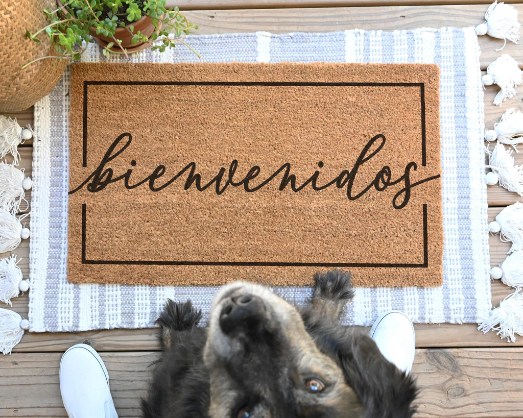 HamlinRowShop Bienvenidos Coir Doormat 16x24in