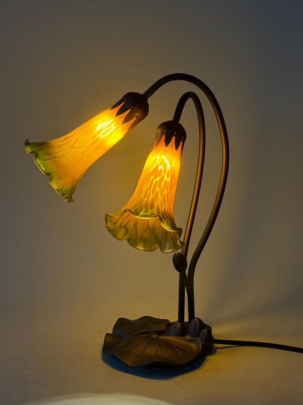 U2Antique Pond Lily Flower Stained Glass Table Lamp 16in