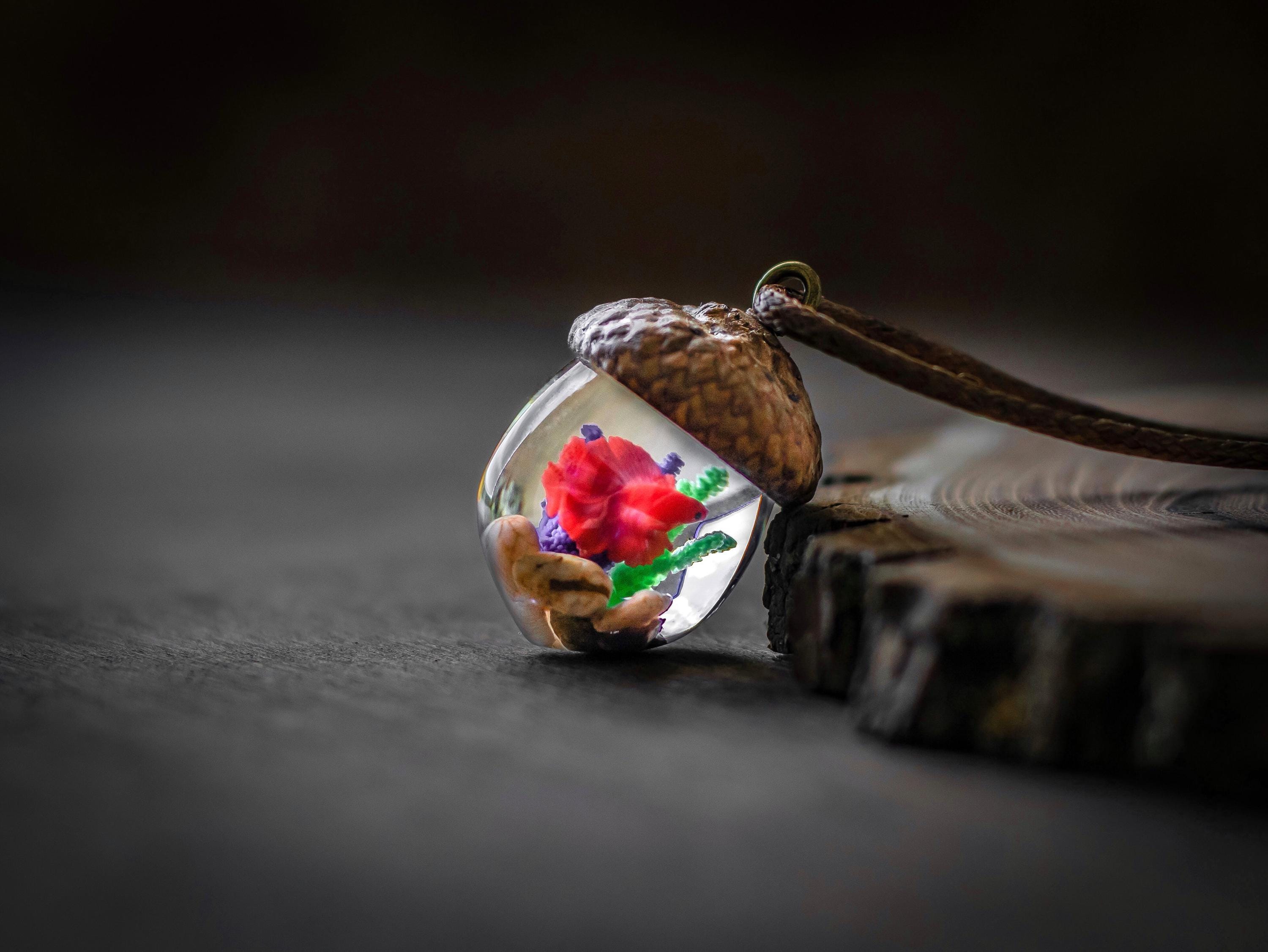 TinyNatureWorks Resin Acorn Terrarium Necklace Real Cap Fish Charm