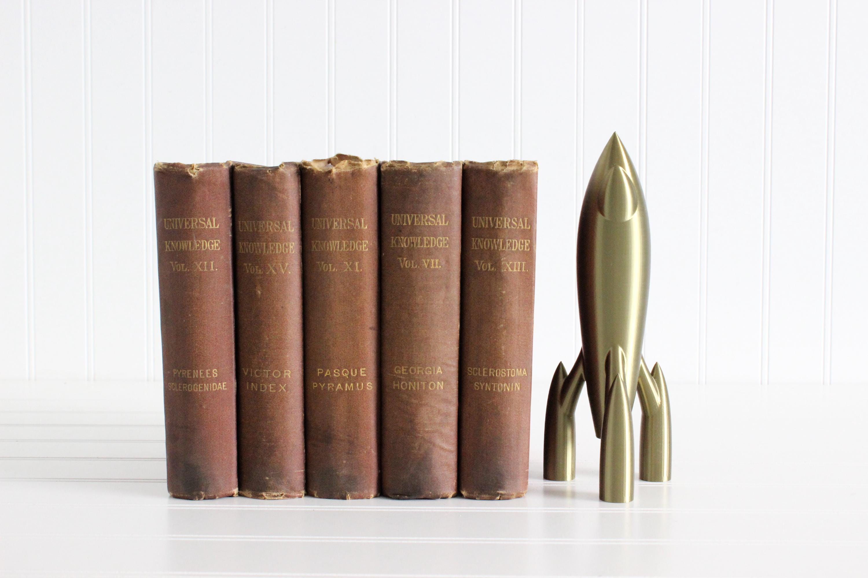 DelightfullyDutch Rocket Ship Figurine 3D Printed Spaceship