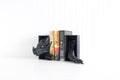 DelightfullyDutch Dragon Book Nook 3D Printed Bookshelf Decor