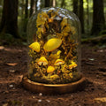 StarlitCarat Enchanted Mushroom Night Light 6.3in Yellow