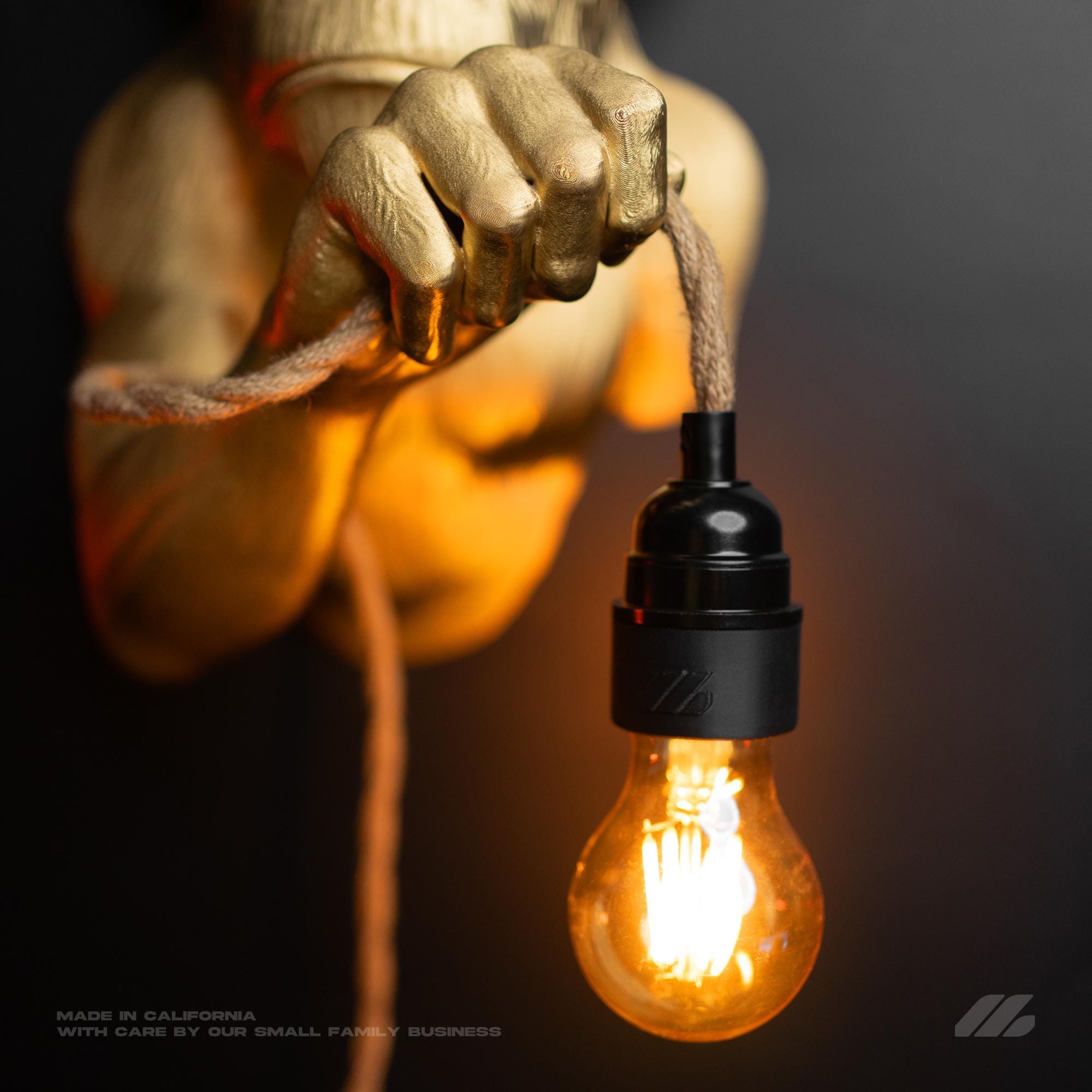Golden Monkey Wall Light 9in x 12in Gold
