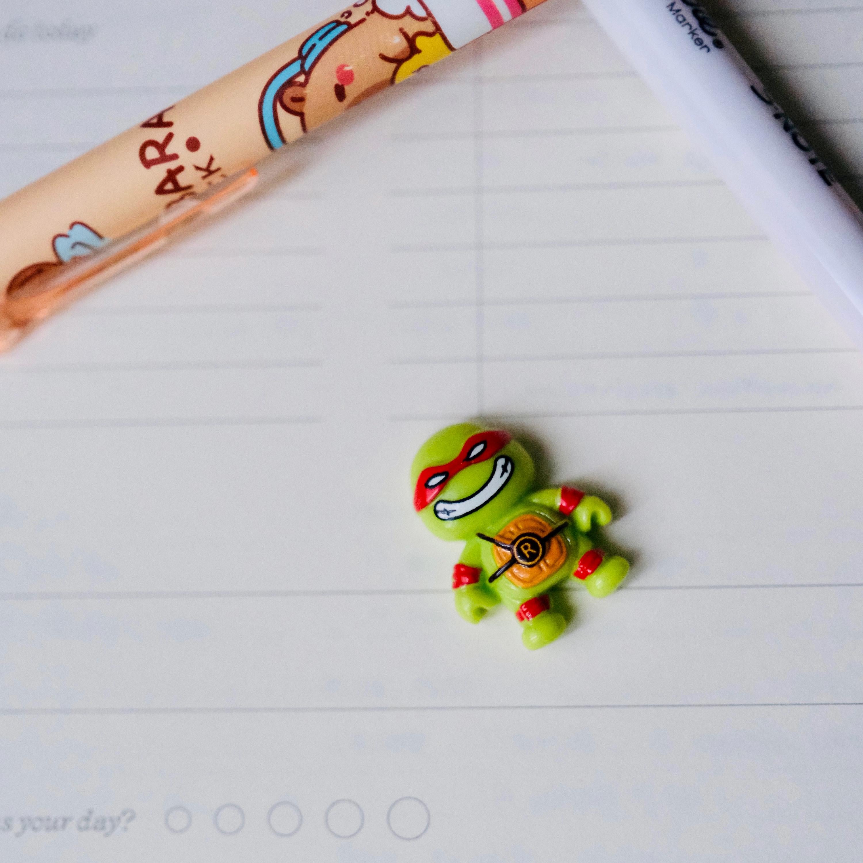 VanillaStarCafe Turtle Ninja Charms and Magnets Keychain