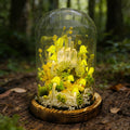 StarlitCarat Green Mushroom Night Light Lamp Crystal