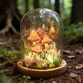StarlitCarat Butterfly Pink Mushroom Night Light LED 6.3in