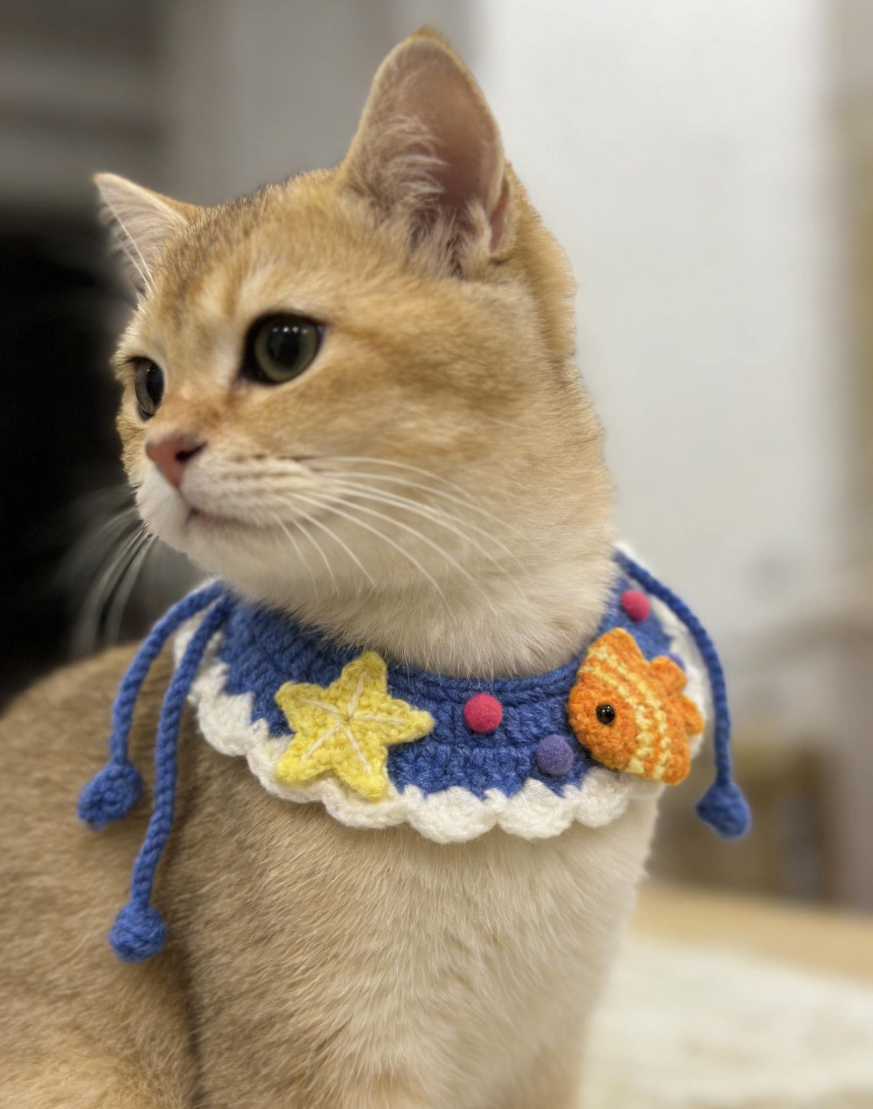 Handmade Crochet Pet Collar Cottagecore Pastel Necklace